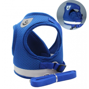 Harness and leash