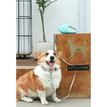 Automatic Dog Leash...